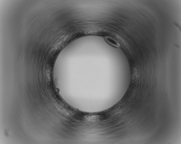 X0000102790452200809081053