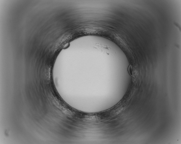 X0000102790454200809081053