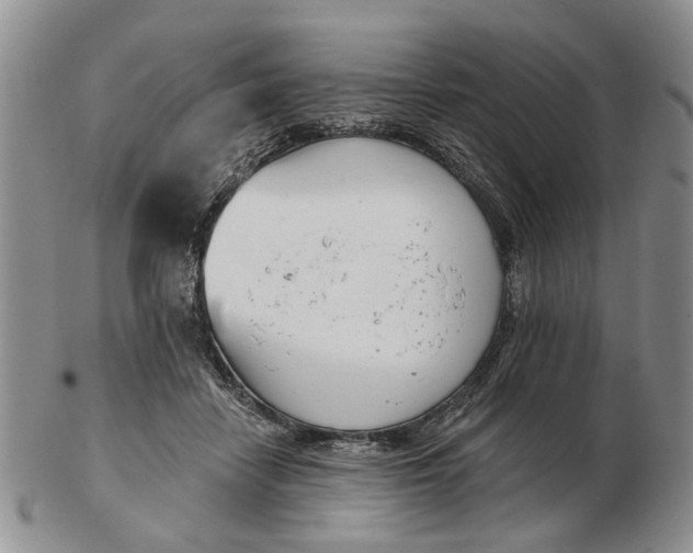 X0000102790458200809081053