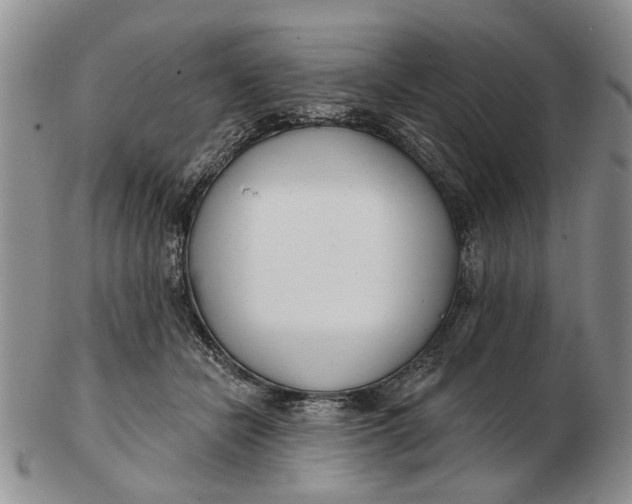 X0000102790462200809081053