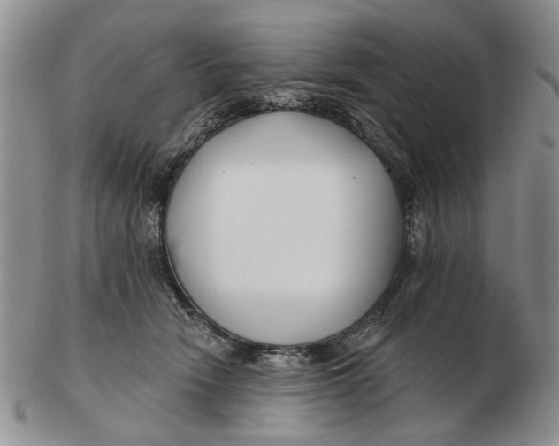 X0000102790466200809081053