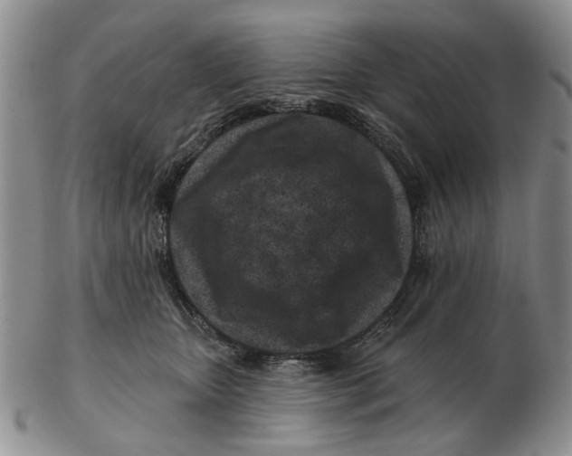 X0000102790467200809081053