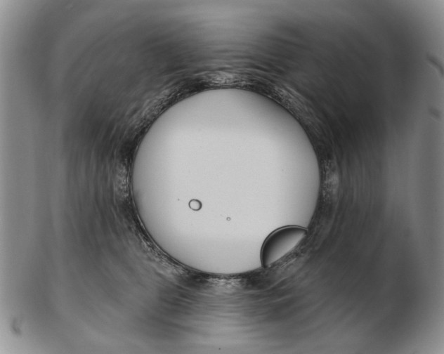 X0000102790469200809081053