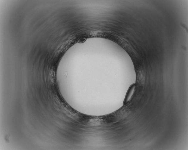 X0000102790470200809081053