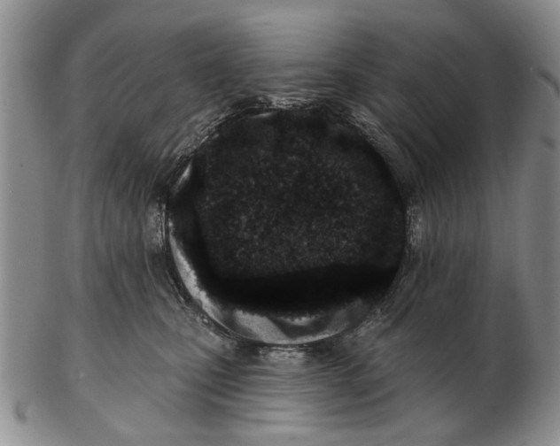 X0000102790471200809081053