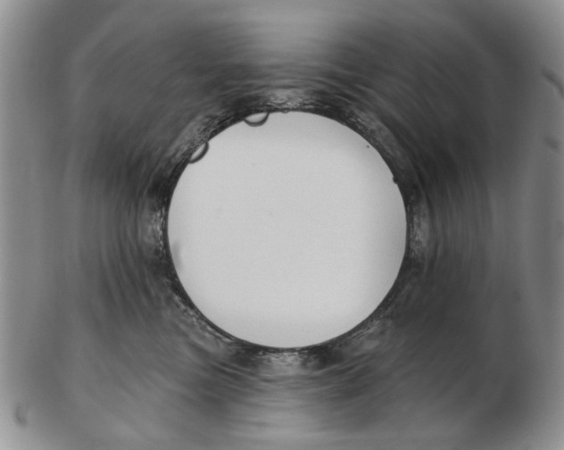 X0000102790473200809081053