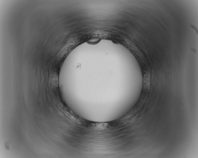 X0000102790474200809081053