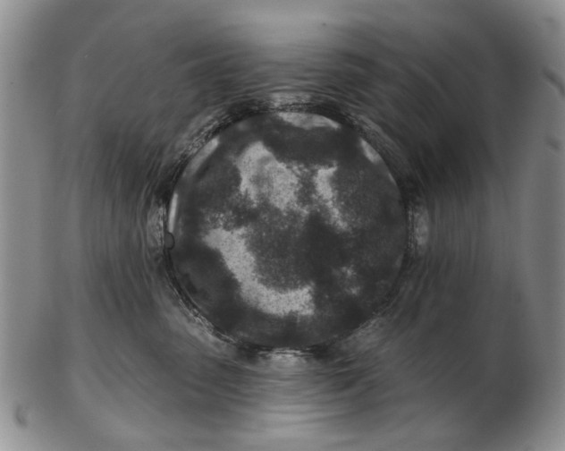 X0000102790475200809081053