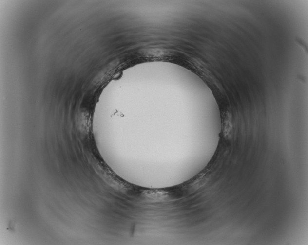 X0000102790476200809081053