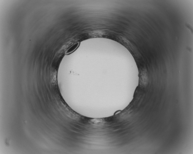 X0000102790477200809081053