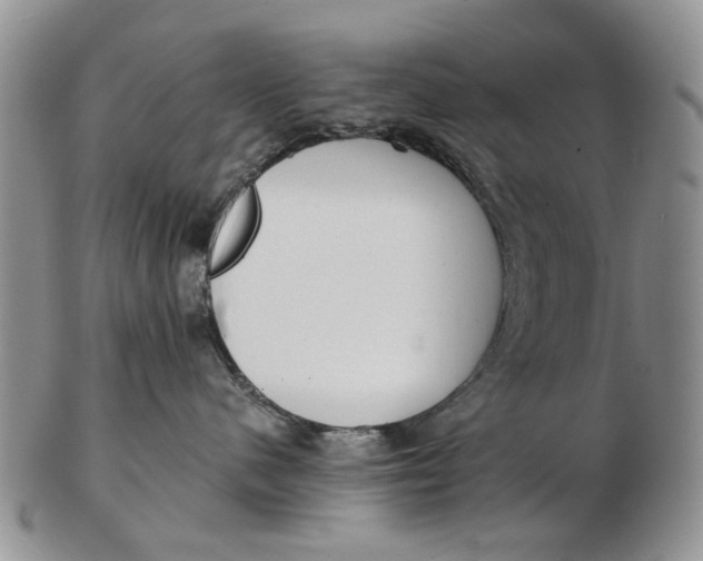 X0000102790480200809081053