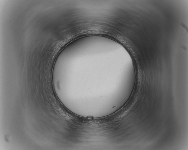 X0000102790481200809081053