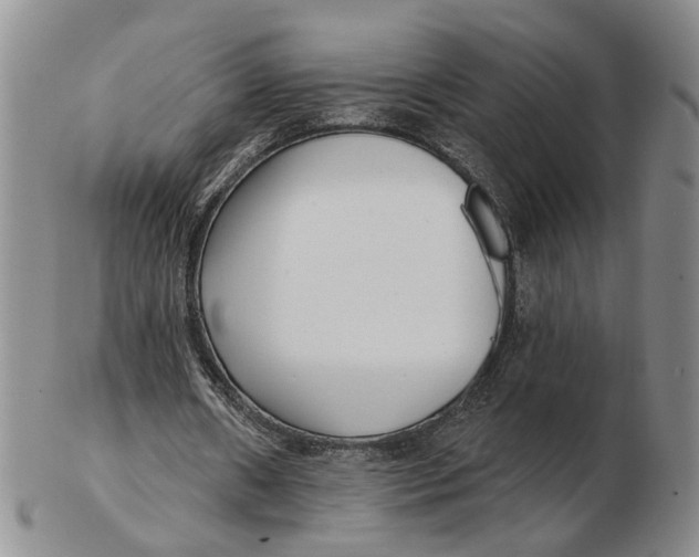 X0000102790482200809081053