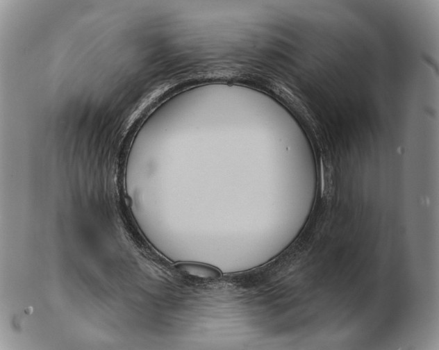 X0000102790483200809081053