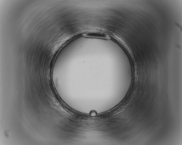 X0000102790485200809081053