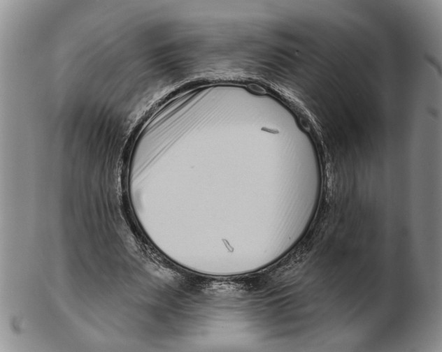 X0000102790487200809081053