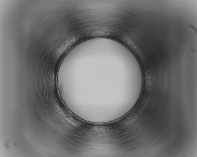 X0000102790490200809081053