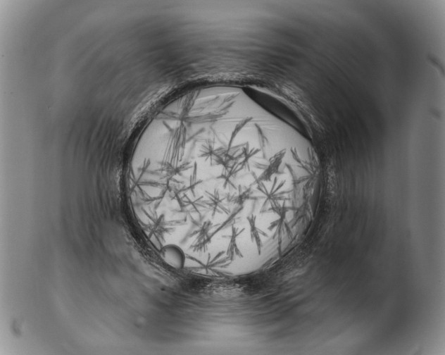 X0000102790491200809081053