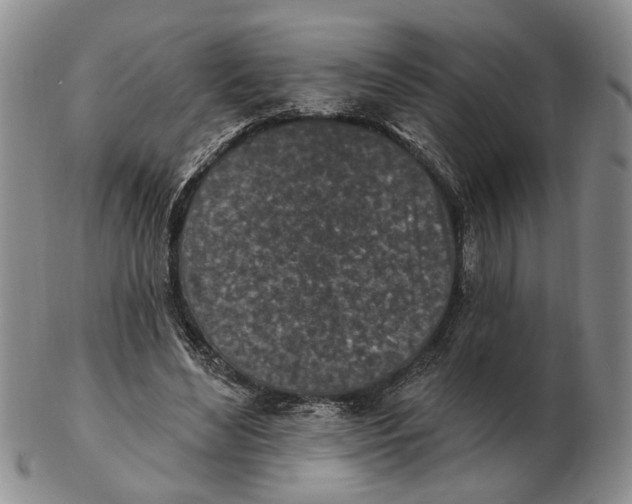 X0000102790492200809081053