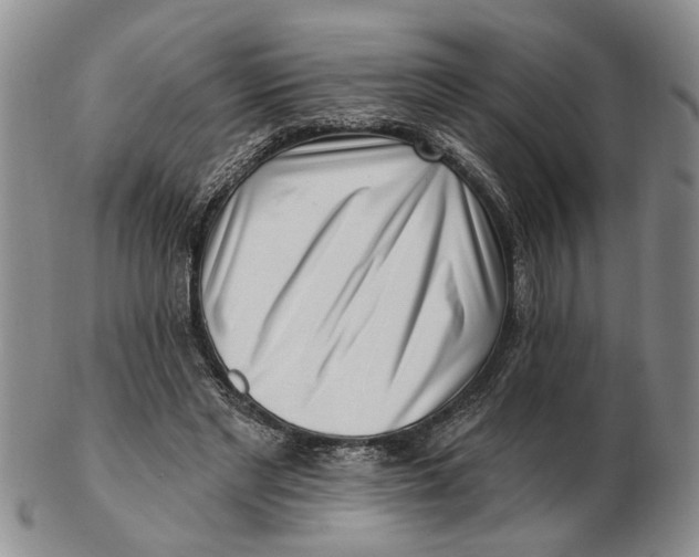 X0000102790493200809081053