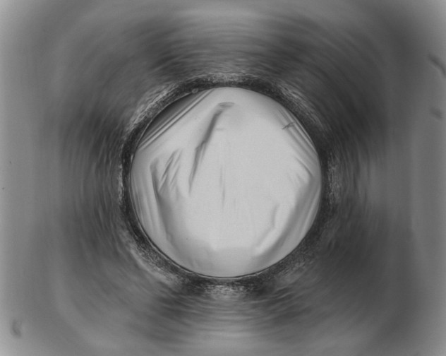 X0000102790494200809081053