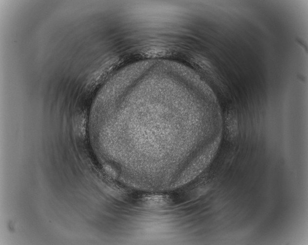 X0000102790499200809081052