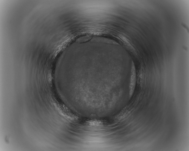 X0000102790500200809081052