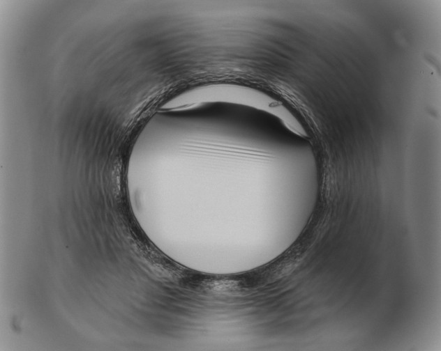 X0000102790501200809081052