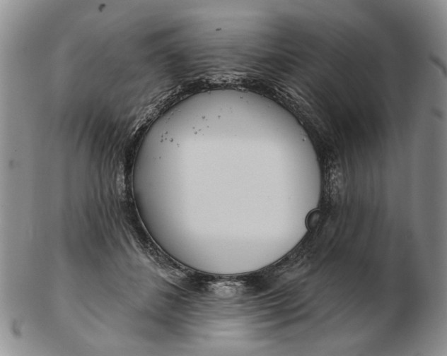 X0000102790508200809081052