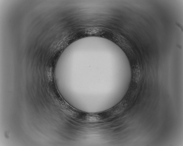 X0000102790510200809081052