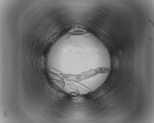 X0000102790511200809081052