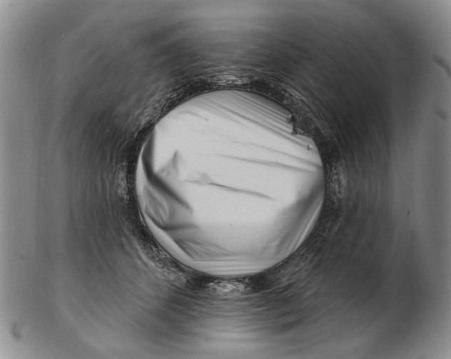 X0000102790512200809081052