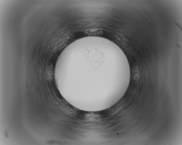 X0000102790515200809081052