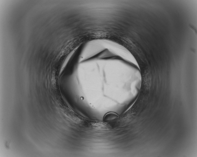 X0000102790516200809081052