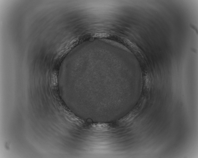 X0000102790517200809081052