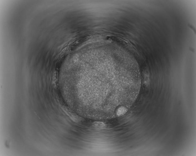 X0000102790519200809081052