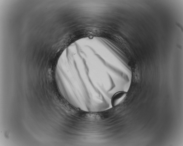 X0000102790520200809081052