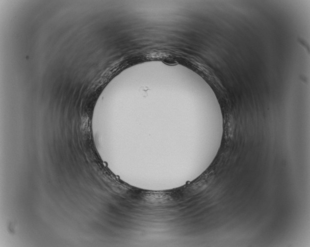 X0000102790521200809081052