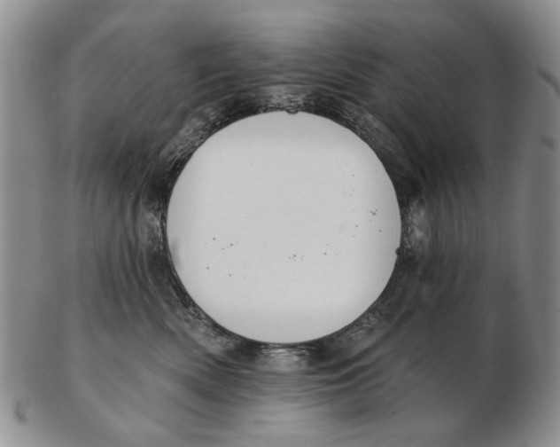 X0000102790522200809081052