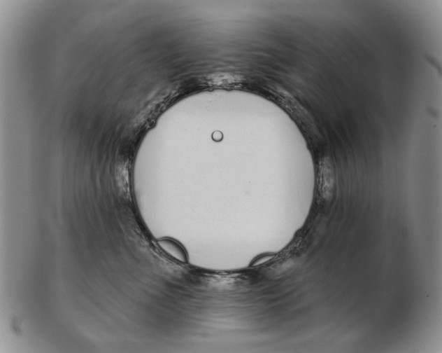 X0000102790523200809081052