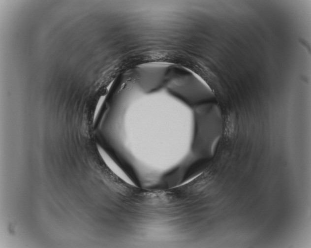 X0000102790524200809081052