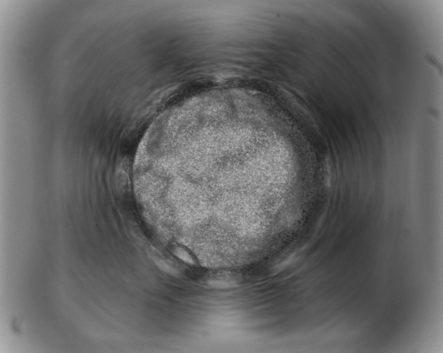 X0000102790527200809081052