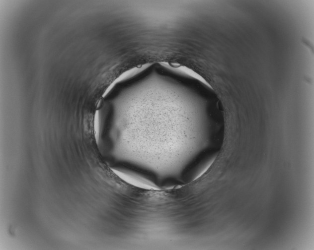 X0000102790528200809081052