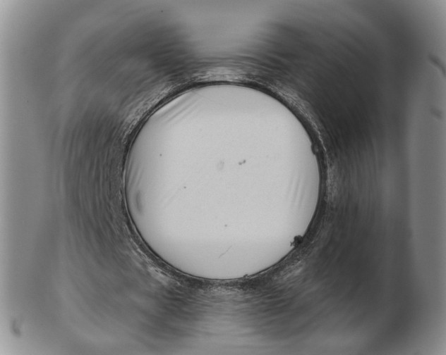 X0000102790529200809081051