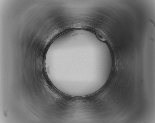 X0000102790530200809081051