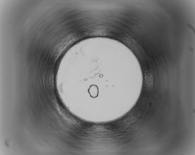 X0000102790534200809081051