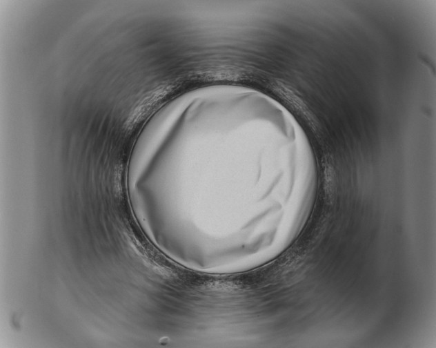 X0000102790537200809081051