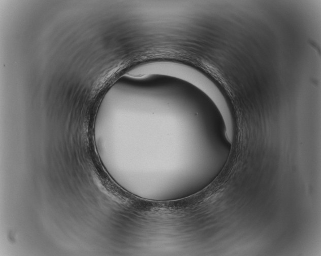 X0000102790538200809081052