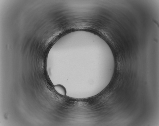 X0000102790539200809081052