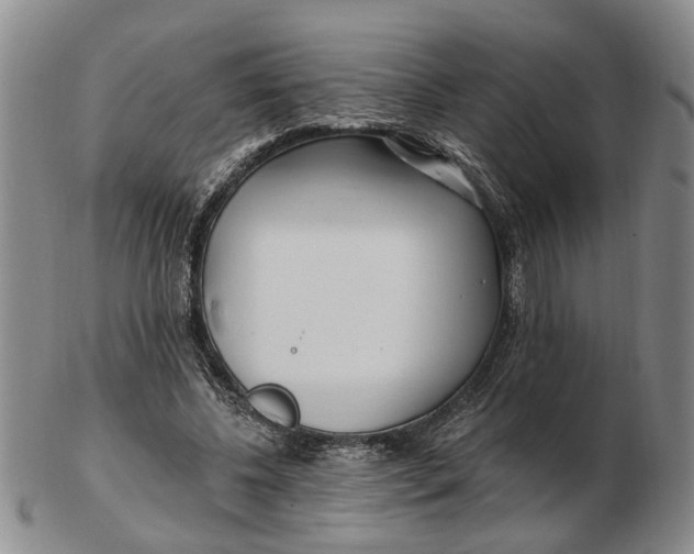 X0000102790540200809081052